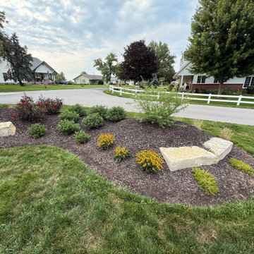 New Seeding & Berm