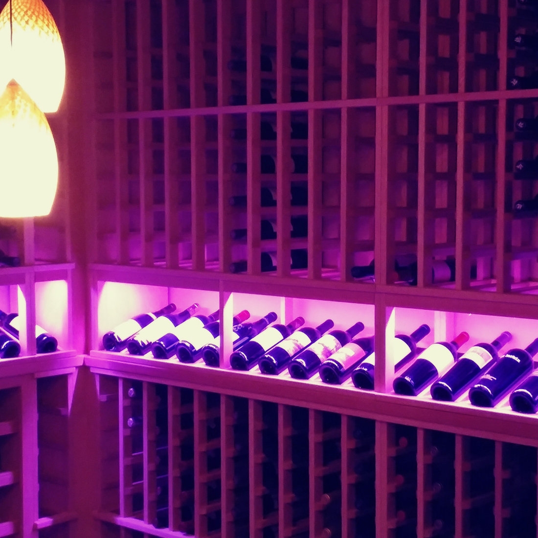 Wine Cellar