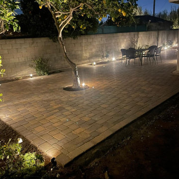 Warm Landscape Lighting on Paver Patio with Lemon Tree | Manhattan Beach Backyar