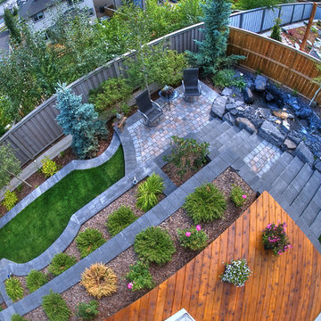 Small Yard Big Dreams