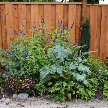 Raised Vegetable / Ornamental Garden