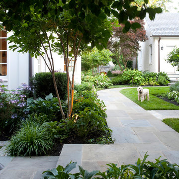 Rear entry walk