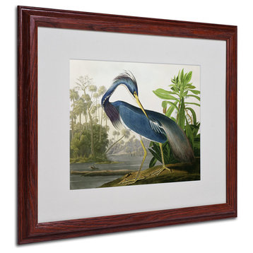 John James Audubon 'Louisiana Heron' Art, White Mat, Wood Frame, 16"x20"