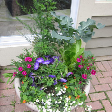 Annual Displays