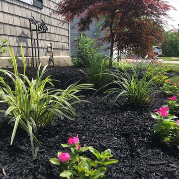Planting Project