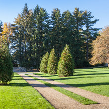 Landscape Ideas