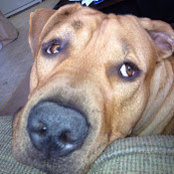Michelle Patton's photo