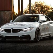 Robert Korwek's photo