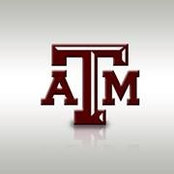 Andrew Branch's photo