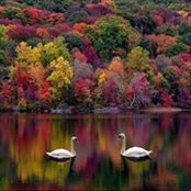 Sarah Mansi's photo