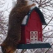 Susan Grisinger's photo