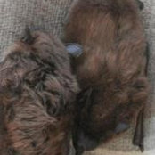 Denise Wisher's photo