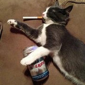 Rob Boyer's photo
