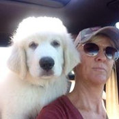 Sheri Plummer-Tunks's photo