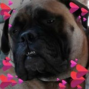 Roxanne Bellovich's photo