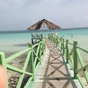 Foto von Erin Jarvis