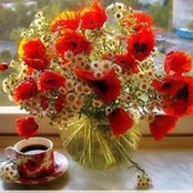 Georgi Khaled's photo