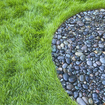 A Gardeners Journal