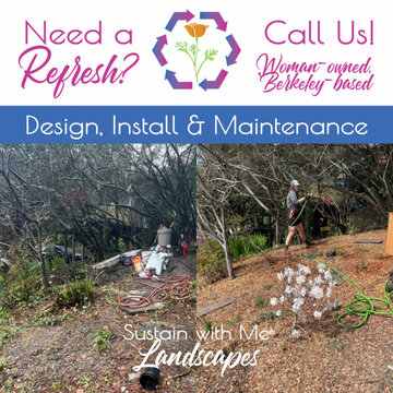 Berkeley Hills Redwood Garden