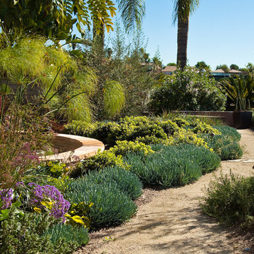 San Diego Drought Tolerant Landscape