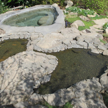 Lake Swimming Pool