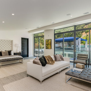 Contemporary Bedroom
