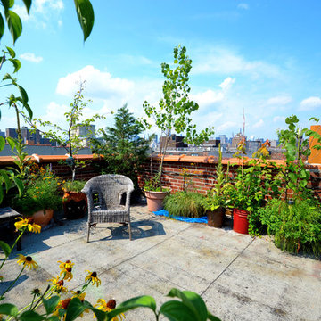 UMBRELLA HOUSE ROOFTOP GARDEN