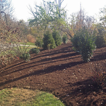 Fall Landscape Buffer Planting