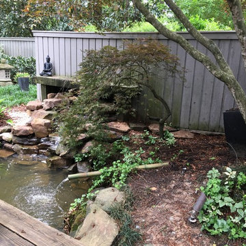 Shaded Asian Garden