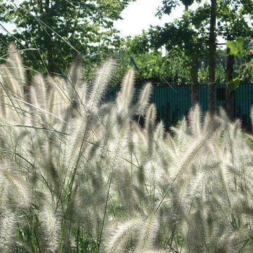 Giardino di un casale nella campagna umbra