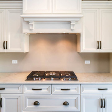 The Sierra Modified | Tamarack South | Naperville, IL