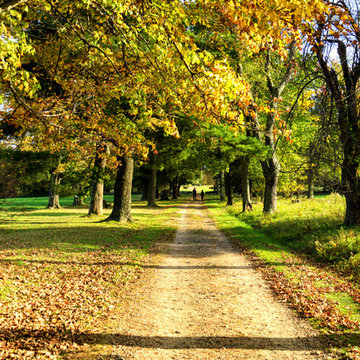 Landscape photography Portfolio