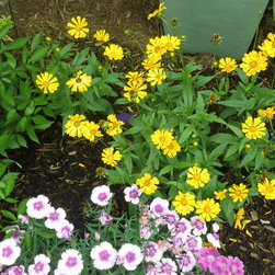 Nursery and Garden Center - Bulbs And Seeds