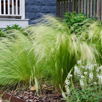 Colorful front yard, dog friendly backyard.