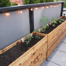 Side Yard