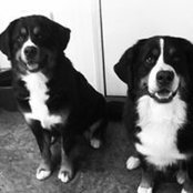 Claudia Jones's photo