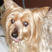 Constance Lindseys foto