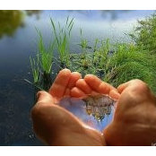 Karen Lee Kerr's photo