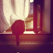 Anna Lisas foto