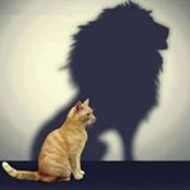 Dina Roshdy's photo