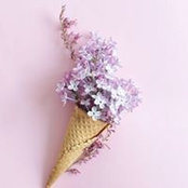 Foto di He Min Lee