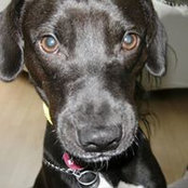 Erna Antlitz's photo