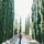 Morris Chen