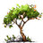 Canopy Gardens