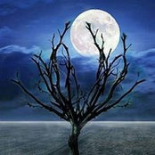 Bobbie Bynum's photo