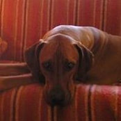 Breda O'Brennan's photo