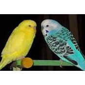 Molly Kelley's photo