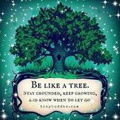 Anik Pettigrew's photo