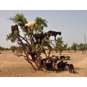 Jack Dobbs's photo