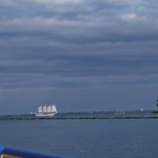 Kristie Krishnan's photo